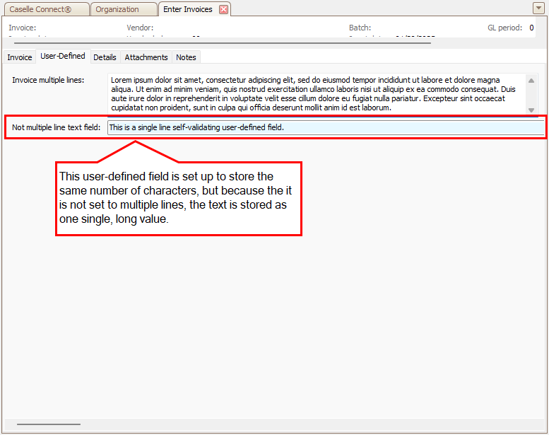 How do I set up a user-defined field for a large text entry? (2025.02)
