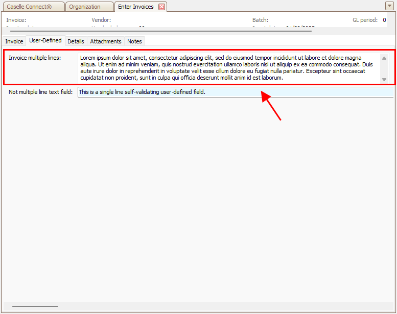 How do I set up a user-defined field for a large text entry? (2025.02)