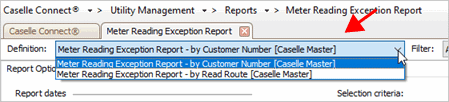 Meter Reading Exception Report