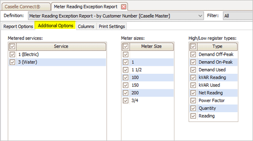 Meter Reading Exception Report